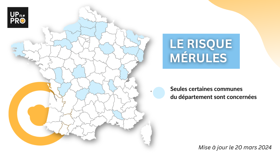 Carte de france risque de mérules