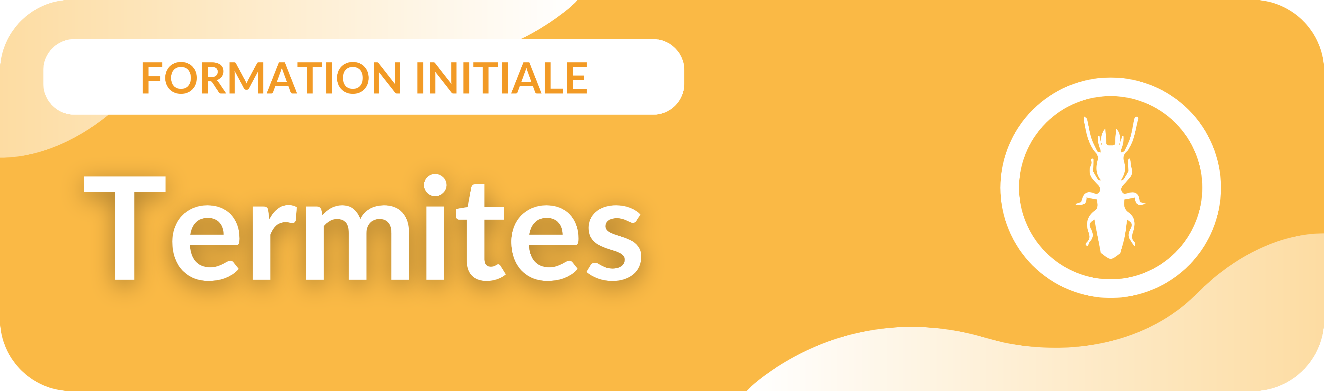Formation initiale termites