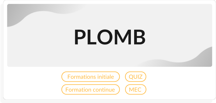 Diagnostics immobiliers formations plomb