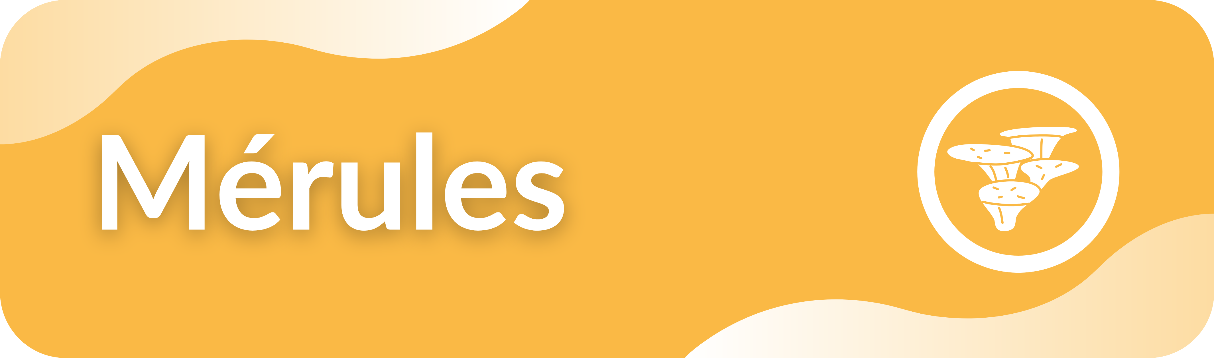 Header formation complémentaire mérules