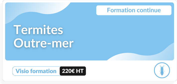 Formation continue Termites Outre-mer