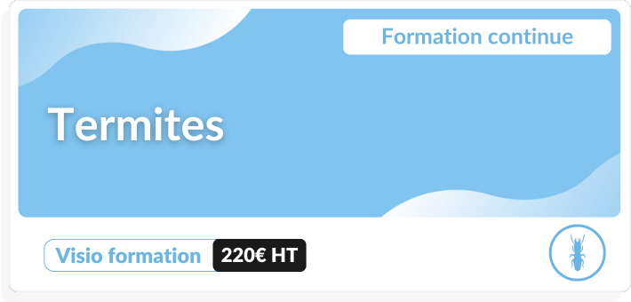 Formation continue Termites