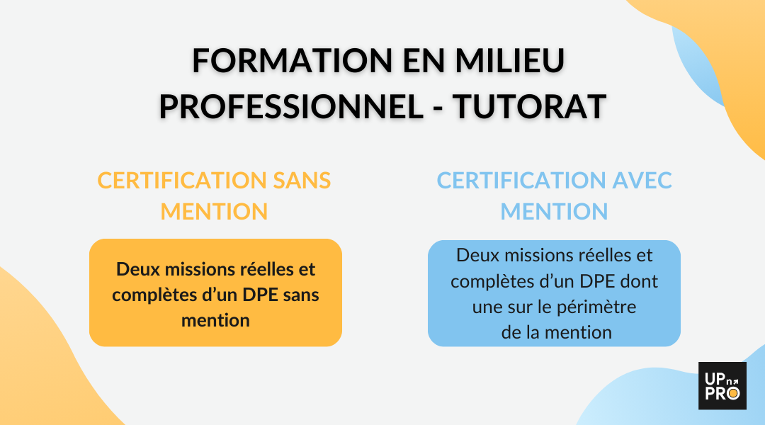 Formation en milieu professionnel - tutorat