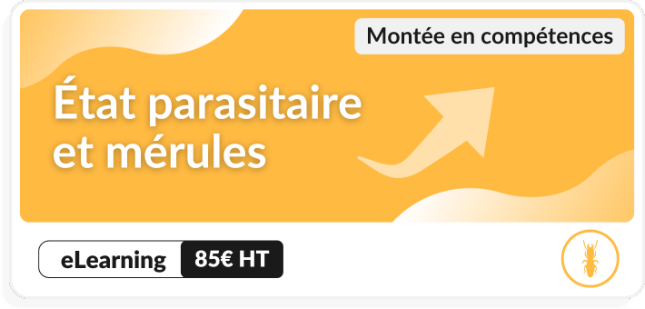 Montée en compétences état parasitaire et mérules