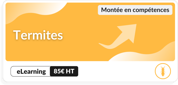Montée en compétences termites