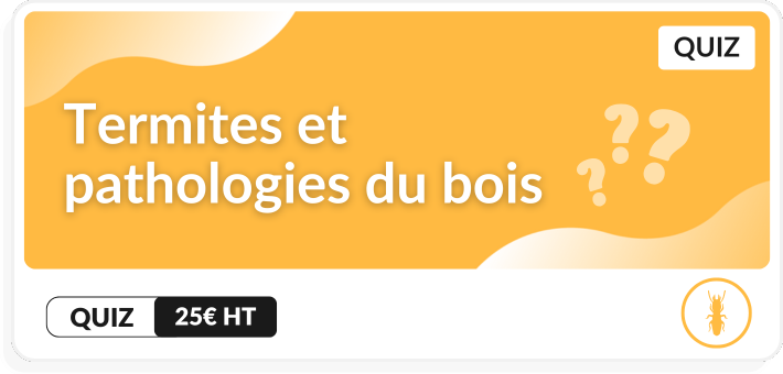 Quiz Termites et pathologies du bois 