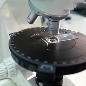 Microscope avec echantillon amiante pour analyse